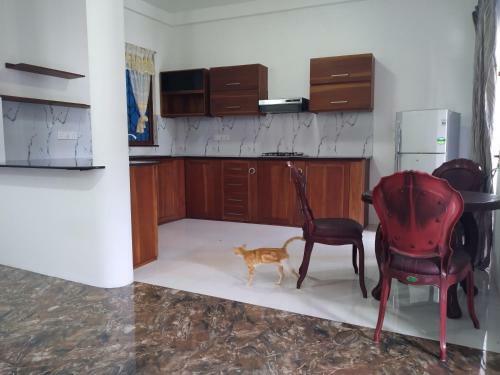 Apartamento Highview