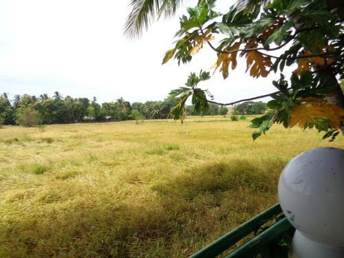 Hostal Man Guest Polonnaruwa