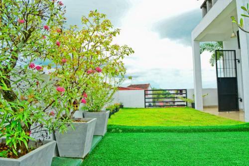 Furnished Apartment At Nawala