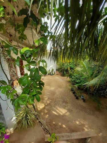 Hostal Loku Mirissa