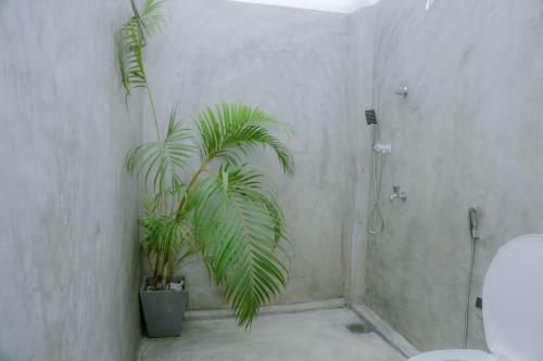 Ruwan Jungle Homestay