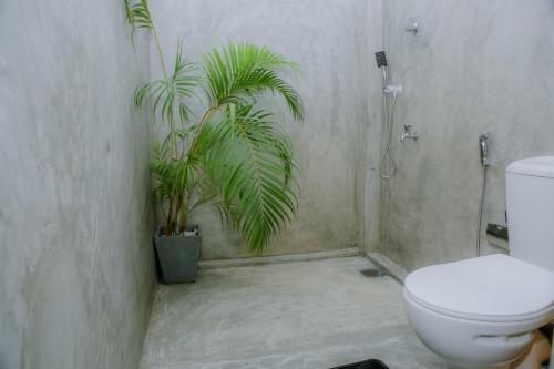 Ruwan Jungle Homestay