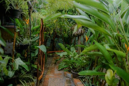 Ruwan Jungle Homestay