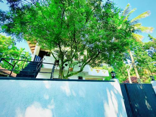 Black Panther Villa