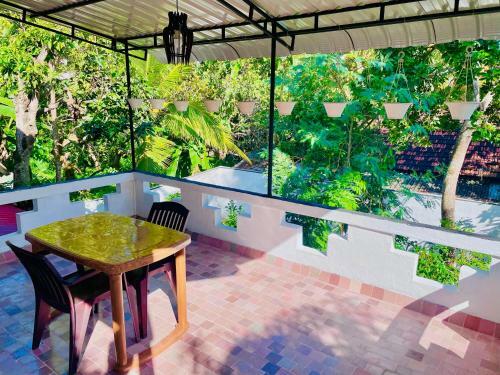 Black Panther Villa