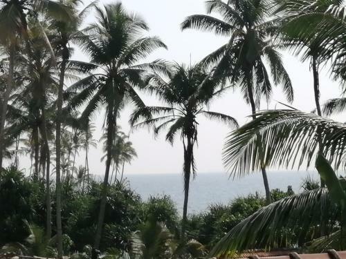 Hostal Coconut Reach
