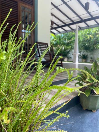 Hostal Ceylon House Mirissa