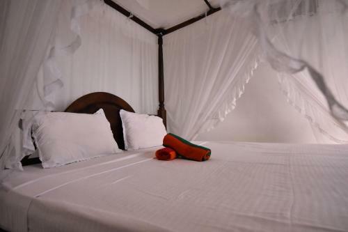 Hotel Surf View Mirissa