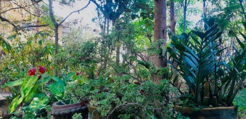 Hostal Green Garden Rest
