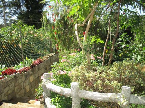 Hostal Redwood Homestay