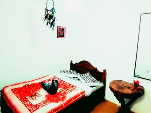 Hostal Haven Backpackers