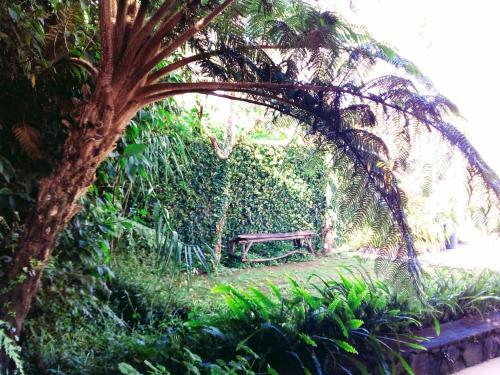 Hostal Vibe Way (Hostel & Market Farm)