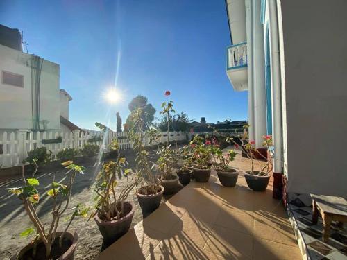 Hostal Vibe Way (Hostel & Market Farm)