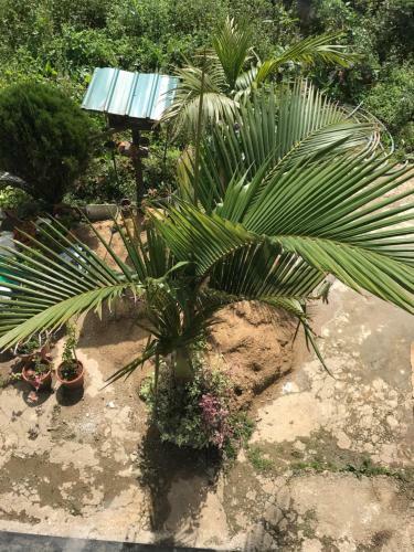 Hostal Highest Village Cool Winter Villa