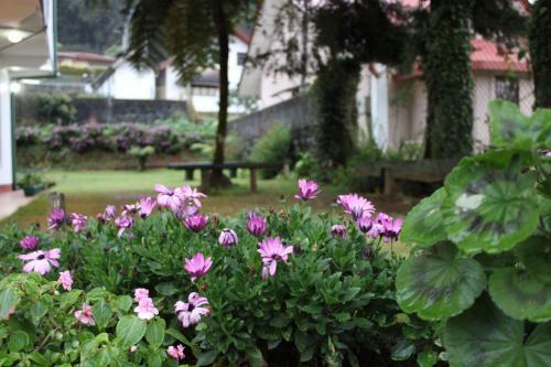 Hostal Blossomwell Bungalow