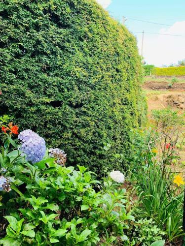 Apartamento Miliya Guest House