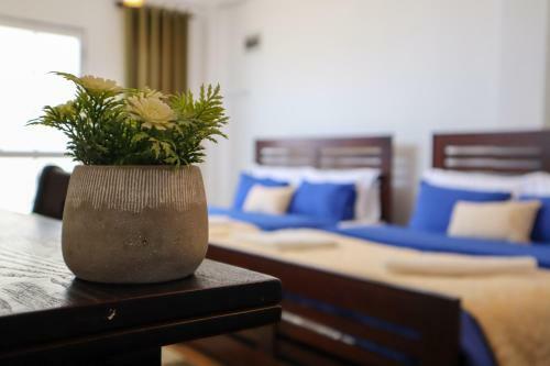 Bed & Breakfast Avonvin