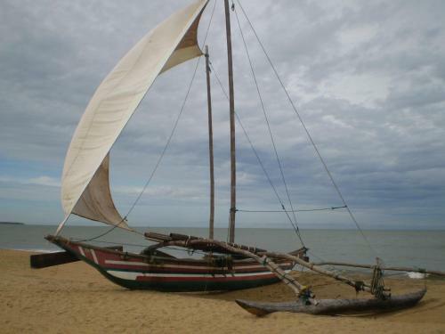 Bed & Breakfast Green Wood Villa Negombo