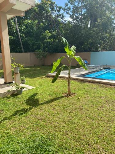 Hotel Paulis Resort