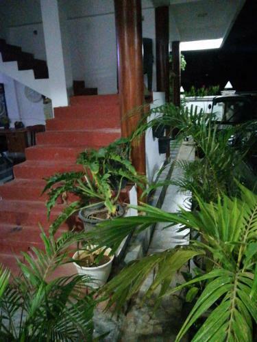 Hotel Dive Beach Palace