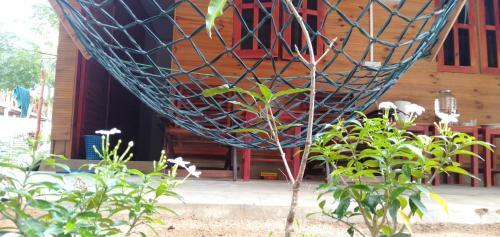 Walkers Hostel