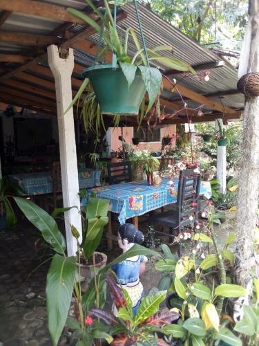 Happy Homestay