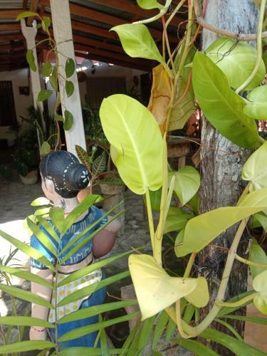 Happy Homestay