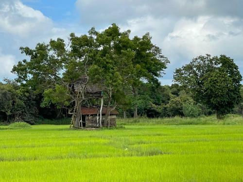 Bed & Breakfast Thilina Homestay
