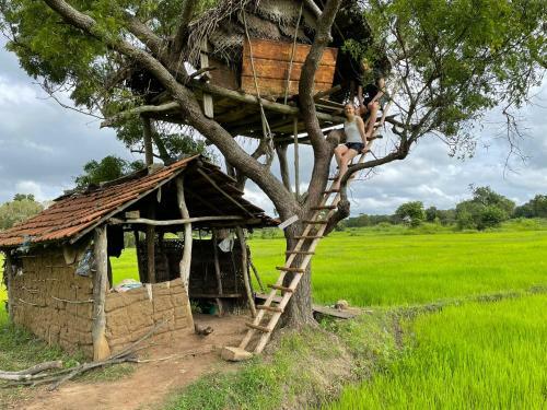 Bed & Breakfast Thilina Homestay