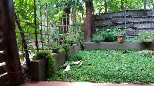 Bed & Breakfast Thilina Homestay