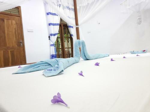 Galaxy View Home Stay Sigiriya