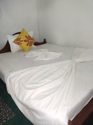 Sigiri Green Shadow Homestay