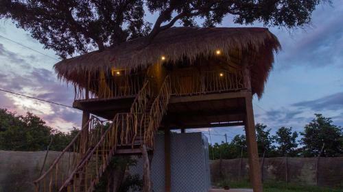 Agroturismo Sigiriya Tree House