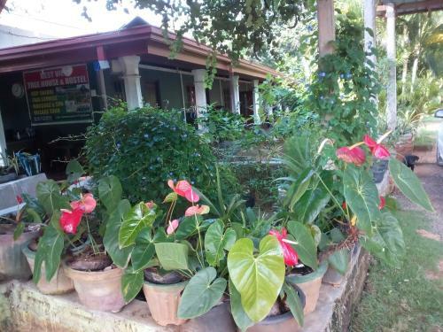 Sigiriya Hostel Home