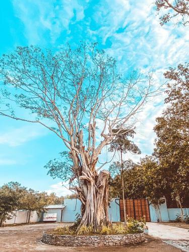 Hotel Nivadoo Resort Sigiriya