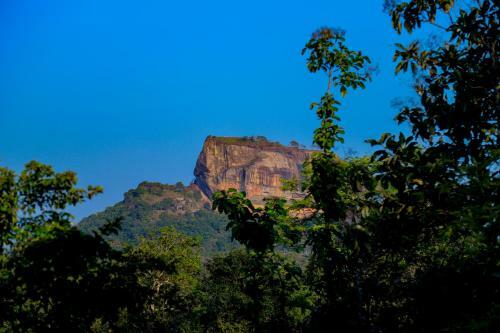 Hostal Sigiriya Rockgate Treehouse