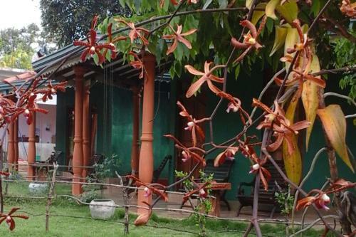 Lodge Sigiriya Melrose Villas