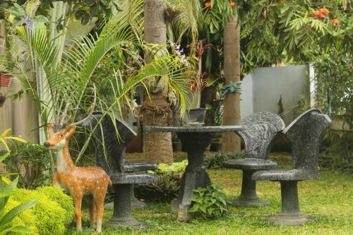 Hotel Owl's Paradise