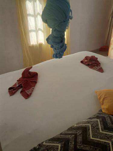 Bed & Breakfast Yala Safari Information Hotel