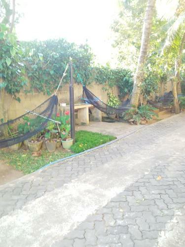 Bed & Breakfast Yala Safari Information Hotel