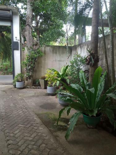 Bed & Breakfast Yala Safari Information Hotel