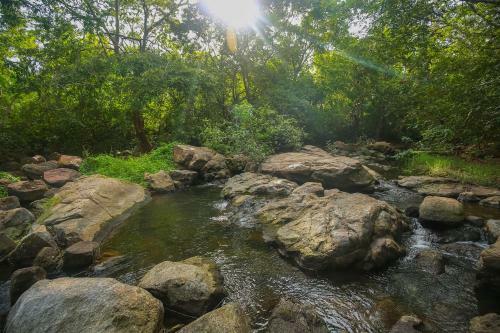 Hostal River View Cabana