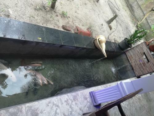 Hostal Wadduwa Homestay