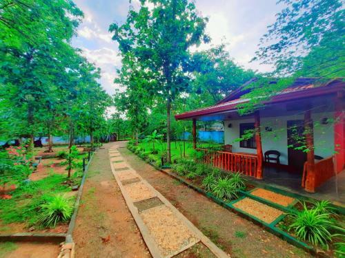 Bed & Breakfast Elephant's Joint
