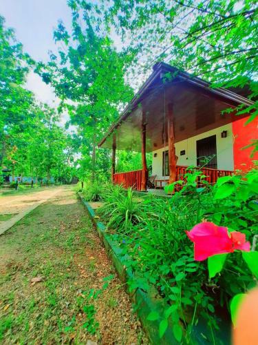 Bed & Breakfast Elephant's Joint
