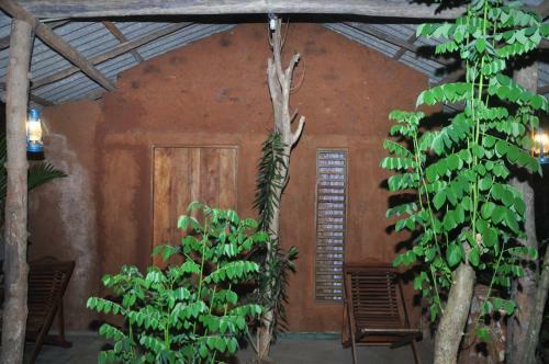 Akee Eco Cottage