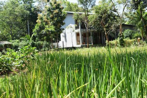 Nildiya Riverside Safari Hotel