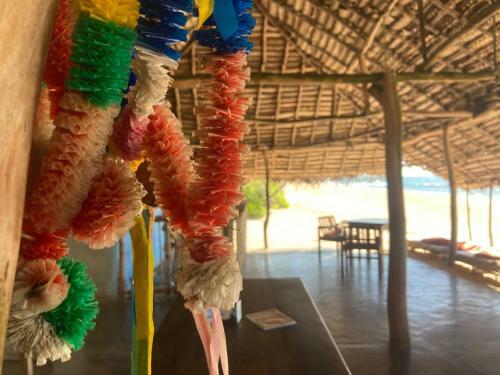 The Alpha Monkey Hotel & Tree House