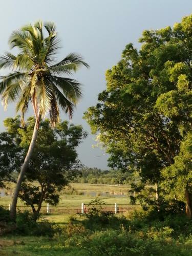 Giri Villa