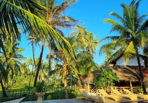 Hotel Golden Beach Paradise